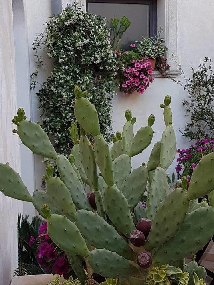 Palazzo Volta Boutique Luxury B&B Nardo Exterior photo